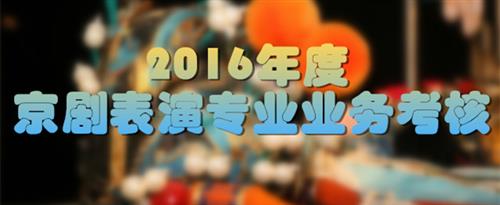 国产一级D片国家京剧院2016年度京剧表演专业业务考...